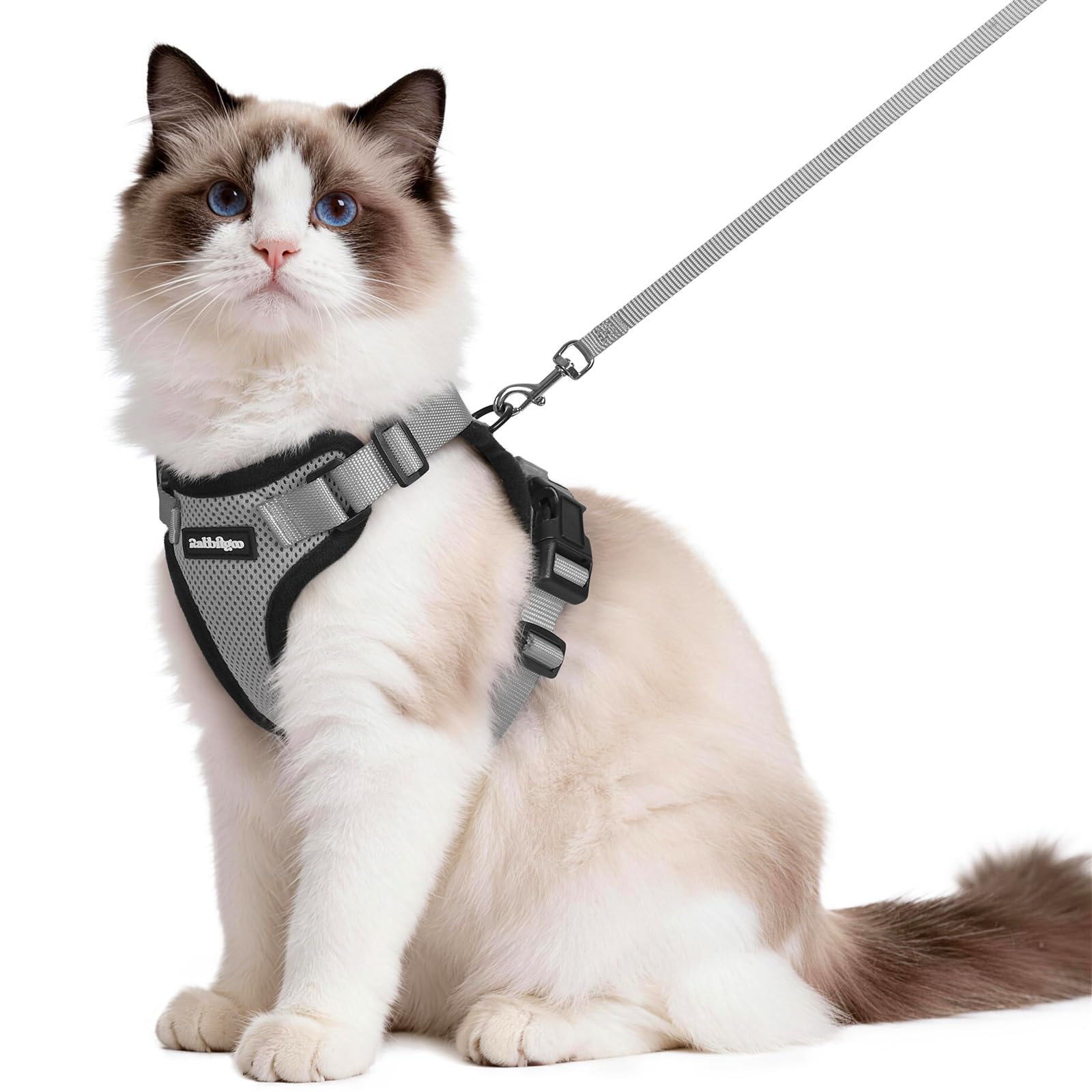 rabbitgoo Cat Harness and Lead Set, Adjustable Escape Proof Cat Lead for Walking, Reflective Kitten Harness Set, Soft and Comfortable for Medium to Large Cats, Grey, M