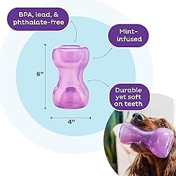 Outward Hound Double Snoop Interactive Treat