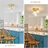Rayofly Modern Crystal Chandeliers Ceiling Light 3-Lights Gold view 2