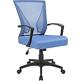 Furmax Office Chair Mid Back Swivel Lumbar Support