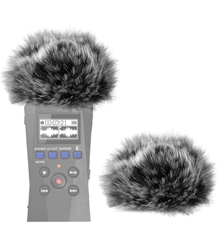 Amazon.com: LEFXMOPHY Pop Filter for Zoom H1 Essential Windscreen