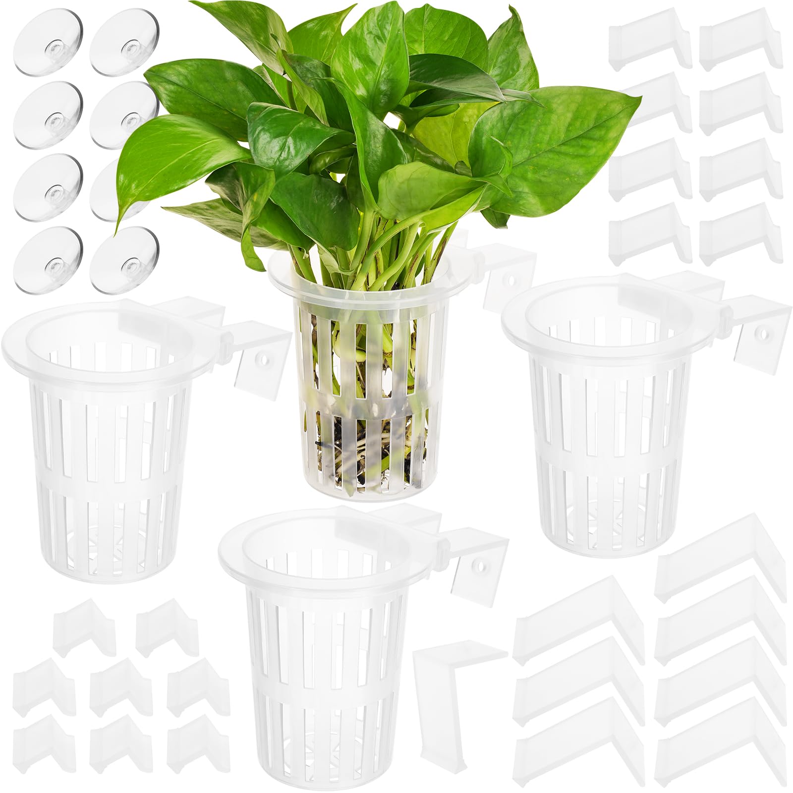 Photo 1 of 2025 New Upgraded Large Aquarium Plant Holder with 1.57-inch Extension Hooks and Suction Cups for Fish Tank Aquaponic Plant Cultivation and Aquascape Accessories Decorations (4 PCS) Transparent