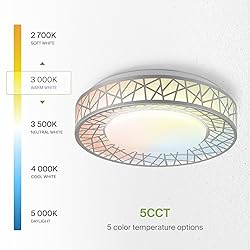 ASD 12 Inch LED Flush Mount Ceiling Light Fixture
