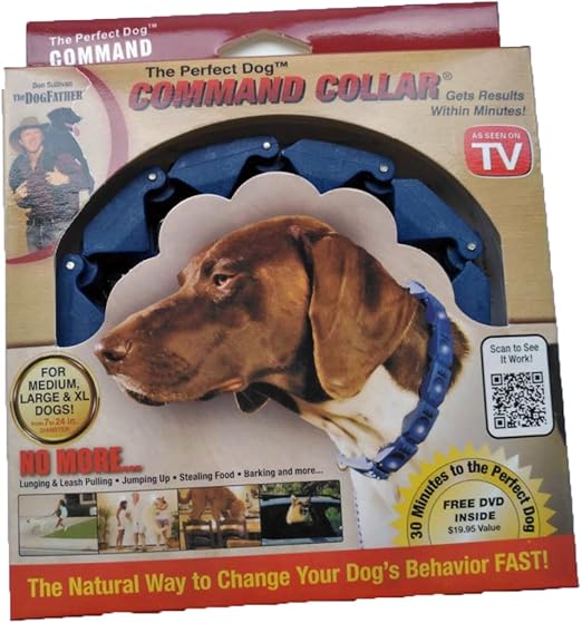 dog command collar