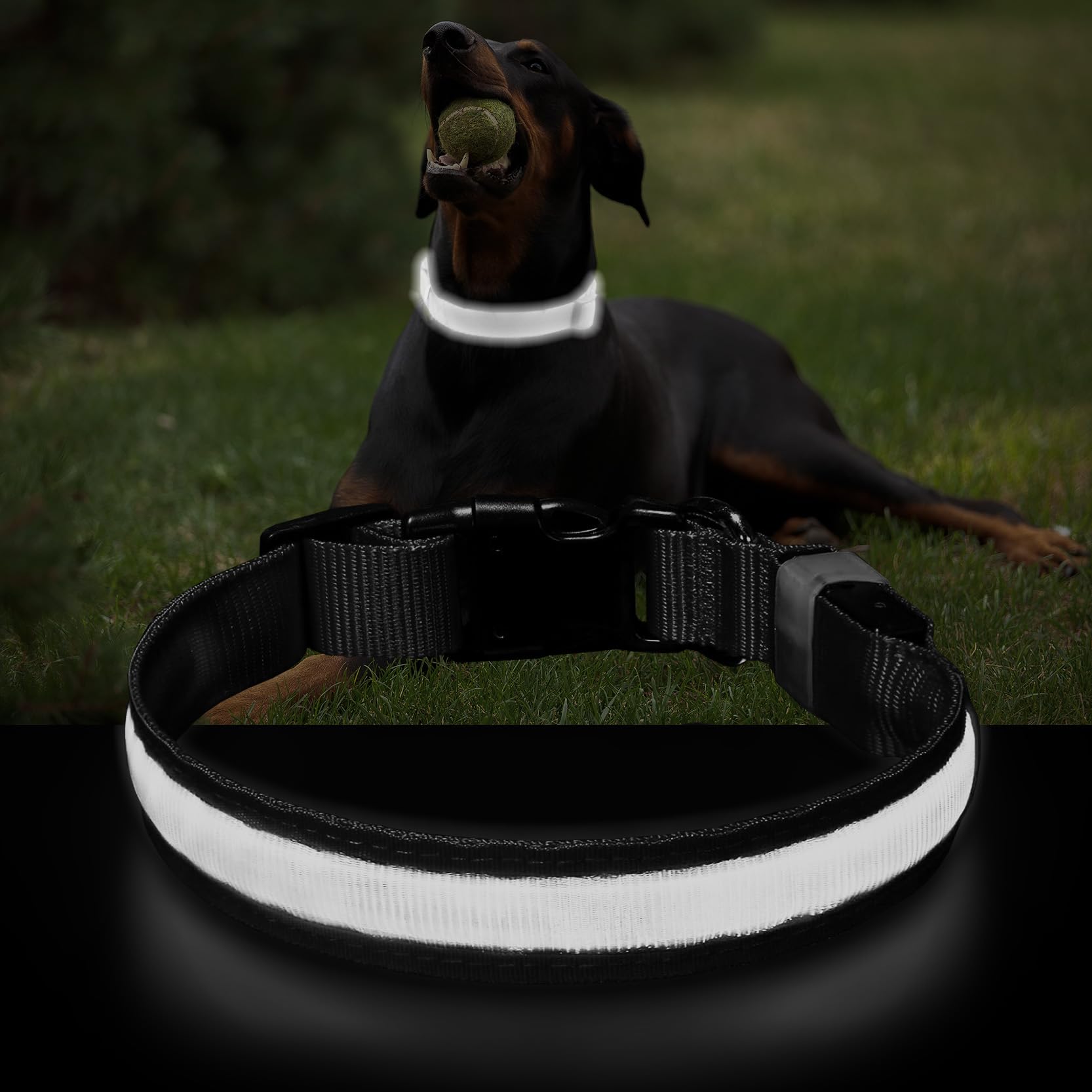 Light-up dog collar for Small and Large Dogs, Rechargeable Led Dog Collar with Light for Night Walking, Waterproof Flashing Dog Collar for Night Safety, Adjustable luminous Dog collar Light