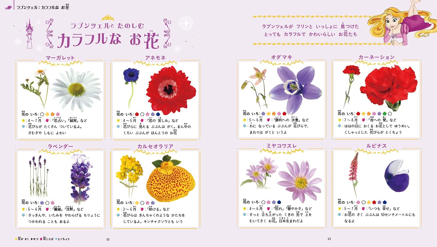 ディズニープリンセスとたのしむ ときめき花ずかん 小池 安比古 本 通販 Amazon