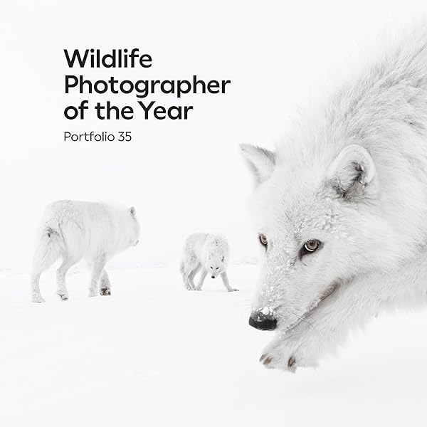 Natural History Museum 60 Years of Wildlife Photographer of the