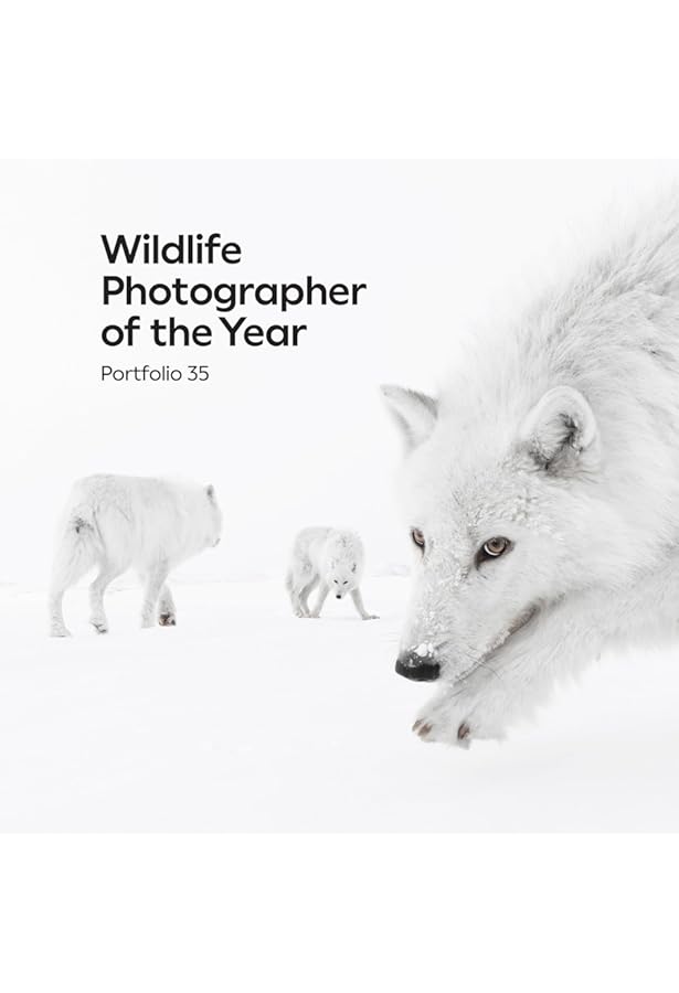 Wildlife Photographer of the Year: Portfolio 33 (33): Kidman Cox