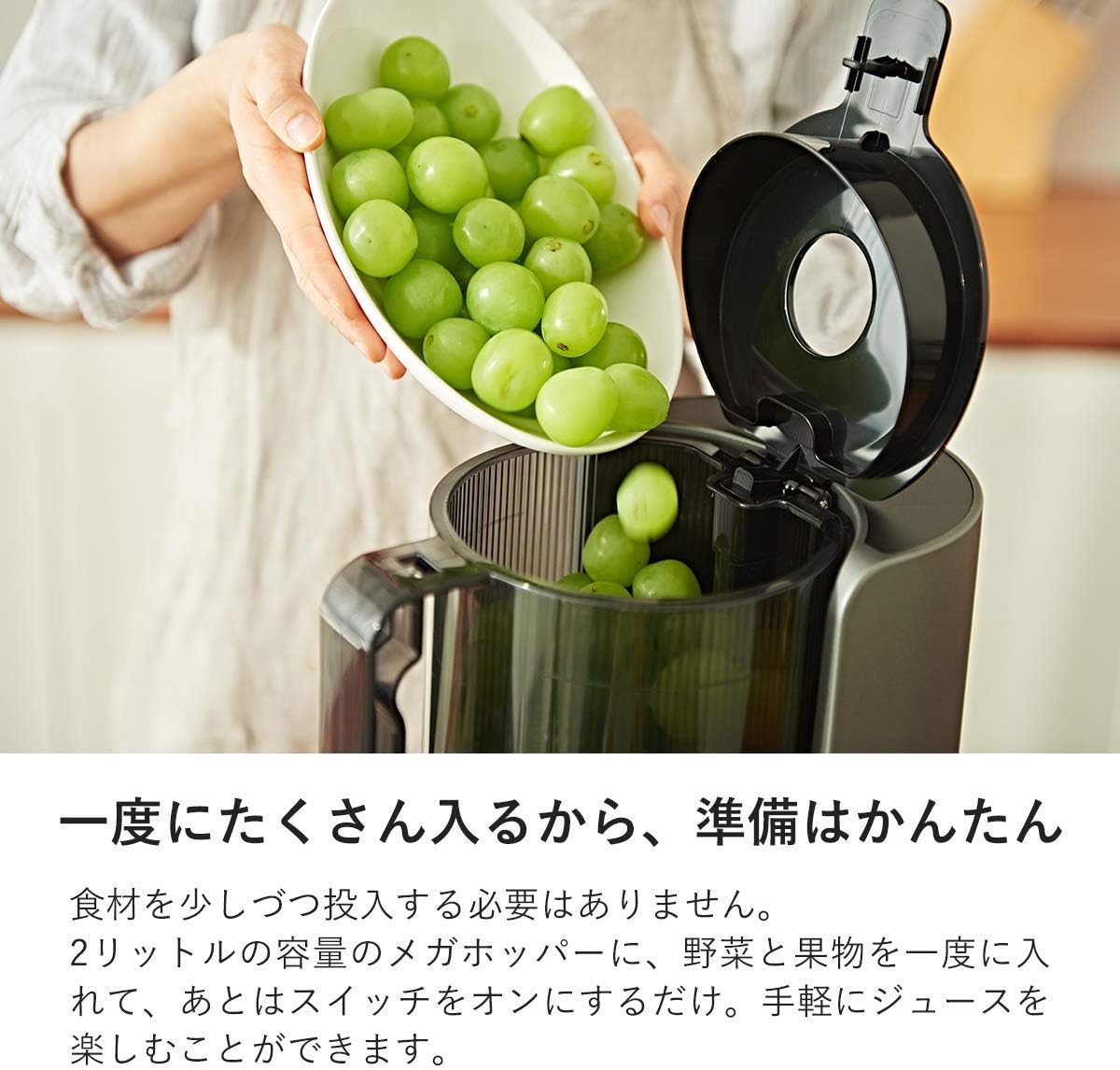 Huromヒューロム スロージューサー H200