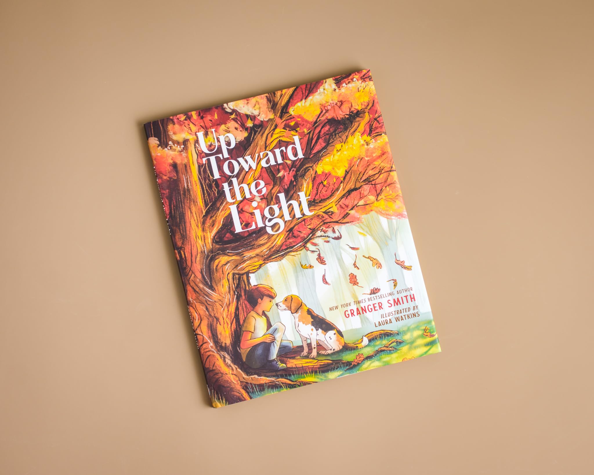 Up Toward the Light Up Toward the Light Hardcover