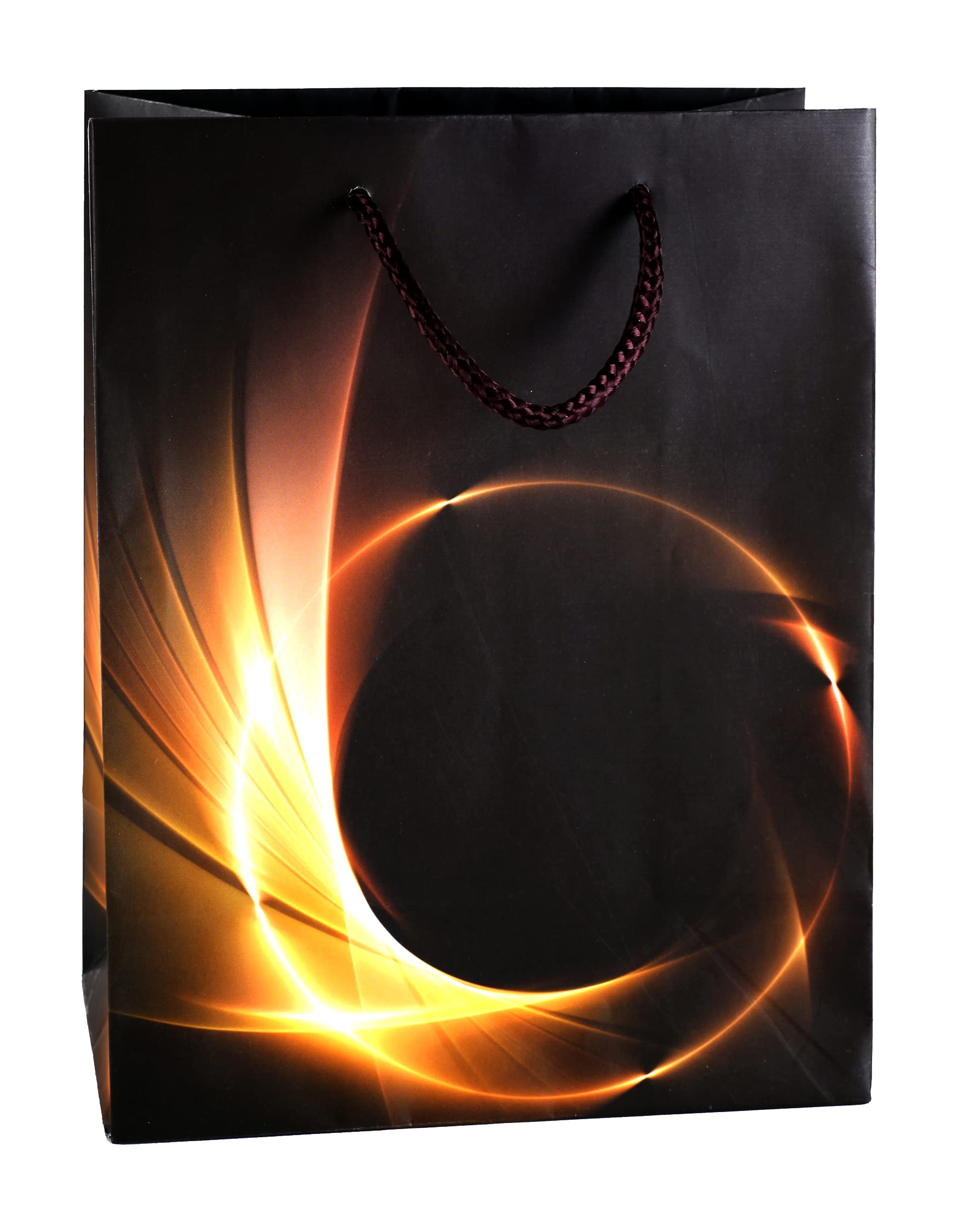 TSI 82011 gift bags Business Light, Pack of 12, size: medium (9 x 7 x 4 inch)