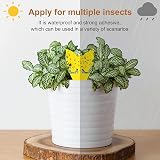 SHATCHI 90 Pcs Fruit Fly Traps Double Sided Sticky Fly Catcher Yellow view 4