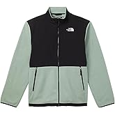 The North Face boys Denali Jacket (Little Kid/Big Kid)
