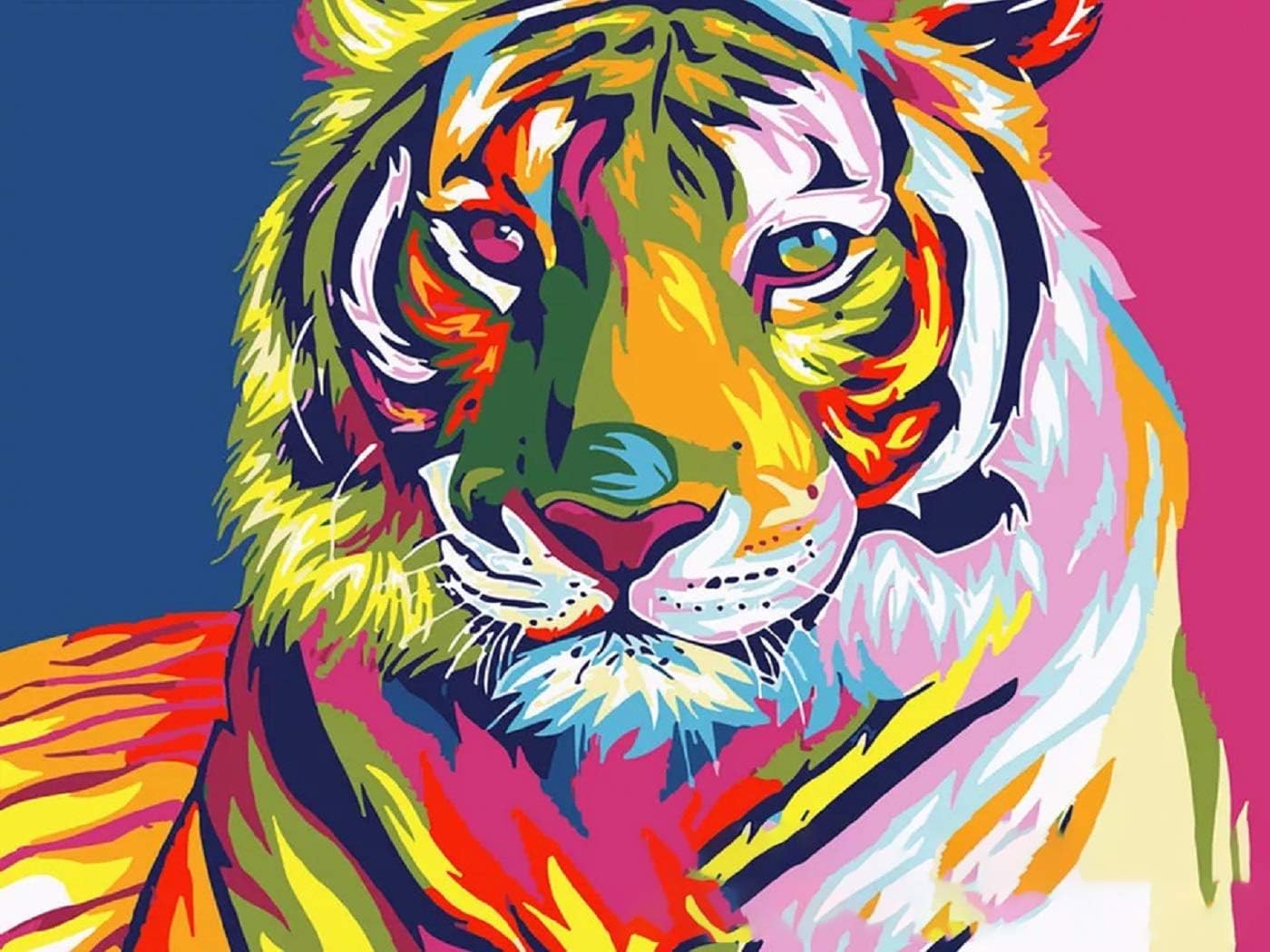 DIY Painting by Number Kits Canvas Oil Painting Kit for Kids & Adults 16" W x 20" L Drawing Paintwork (Color2)