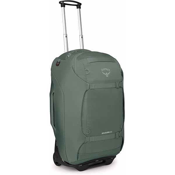 Amazon.com: Osprey Sojourn 25