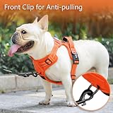 PoyPet No Pull Dog Harness Reflective Vest with Front & Back Leash Rings S view 3