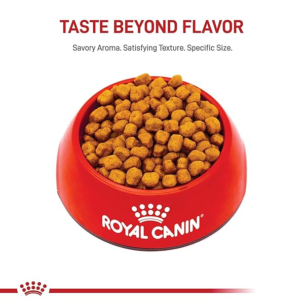 ROYAL CANIN BREED HEALTH NUTRITION SHIH TZU ADULT DRY DOG FOOD, 2.5 LB BAG