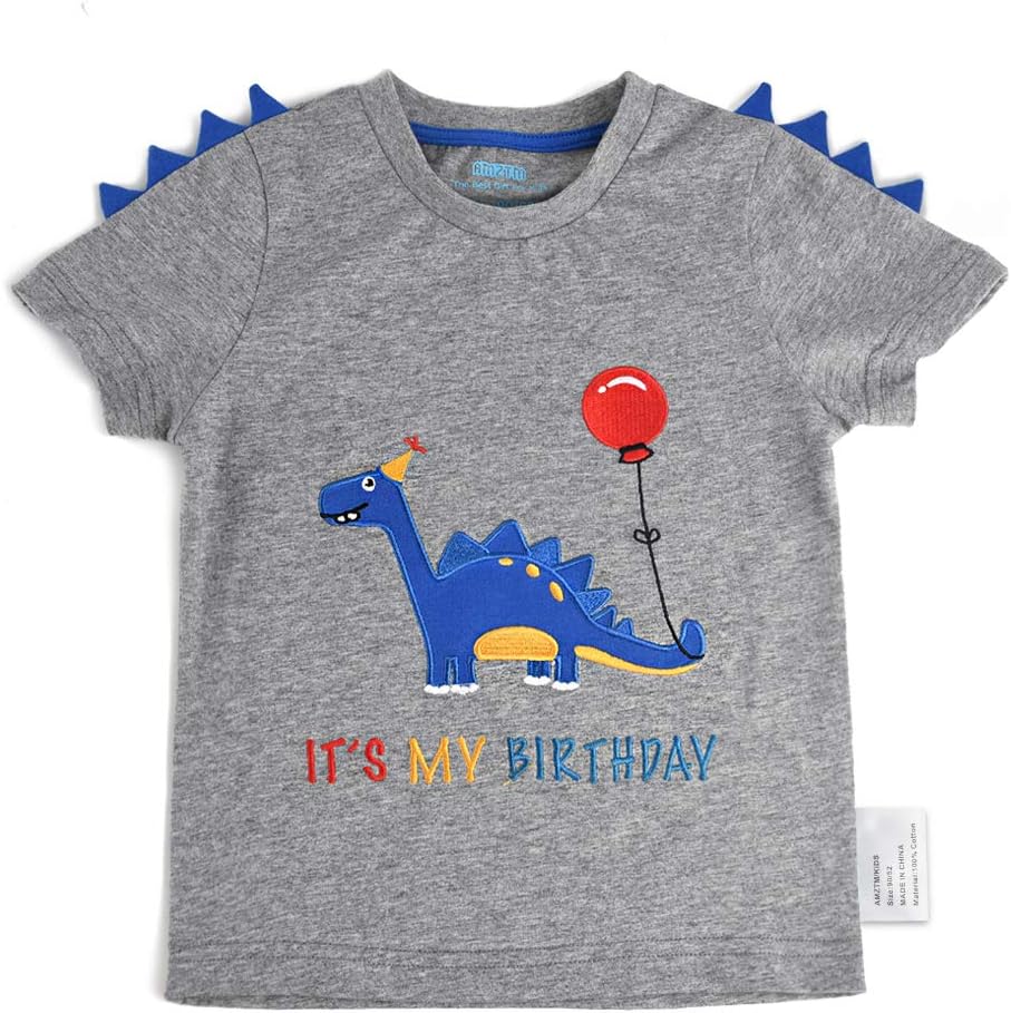Dinosaur Birthday T Shirt - Baby Birthday Party T-Shirt Gift Toddler Infants