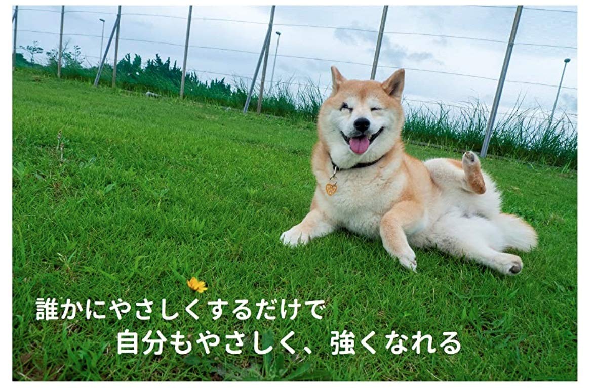 いつかきっと笑顔になれる 捨て犬 未来15歳 今西 乃子 浜田 一男 本 通販 Amazon