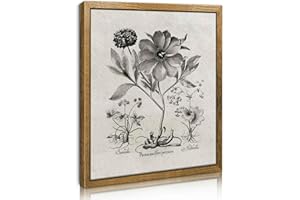 CHDITB Gray Flower Framed Canvas Wall Art, 8×10in Retro Floral Wall Decor, Paeonia Mas and Flore Purpureo Oil Painting, Vintage Botanical Art Prints for Living Room, Bedroom, Bathroom, Farmhouse