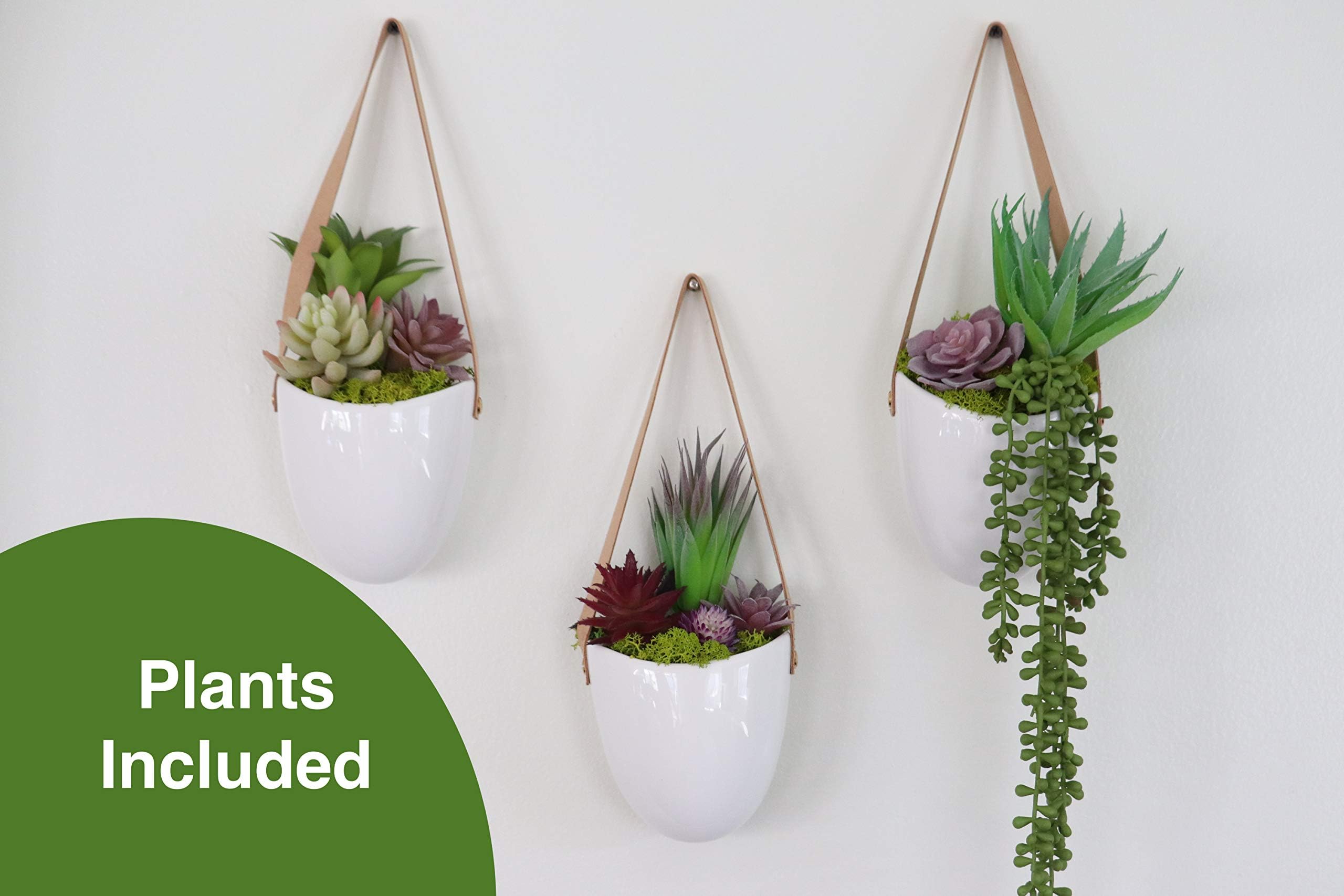 White Ceramic Hanging Planters and Artificial Faux Cactus Succulent Aloe Plants Reindeer Moss DIY Wall Decor Gift Set