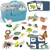 Life Cycle Learning Toys for Kids: Life Science Education Kits with Butterfly, Frog, Chicken, Mantis, Bee, Plants - 25 Pieces Animal Figurines Montessori Toys for Children Age 3 4 5 6 7 8+
