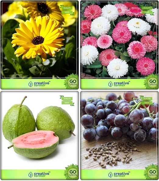 Semillas BloomGreen Co. y Plantas Combo de frutas: limón guayaba ...