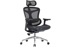 SIHOO Newest Ergonomic Offfice Chair - 3D Link Armrests, 4-Position Adjustable Backrest, Computer Chair with Auto-Adaptive Lu