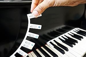 PLUM ROSE PUBLISHING LLC Plum Rose Removable Piano Keyboard Note Labels - Piano Keyboard Note Labels - Silicone - Alternative to Piano Keyboard Stickers - 88-Key Full Size Piano Key Labels - Piano Notes Guide Removable