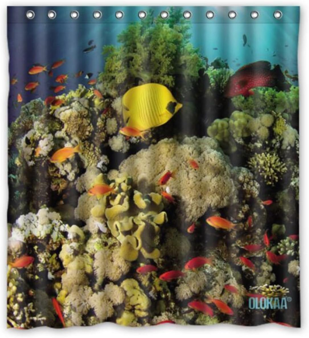 OLOKAA®Custom Design shower curtain Standard Size "72X72"with olokaa logo® (bottom of ocean)