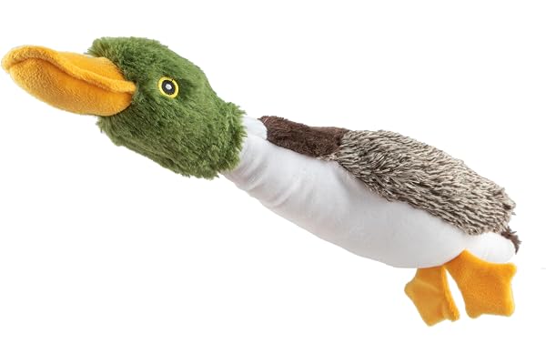 Best Pet Supplies Interactive Squeaky Dog Chew Toy, Ideal Dog Toys for Chewers, Small, Medium & Large Dogs, and Fetch Lovers