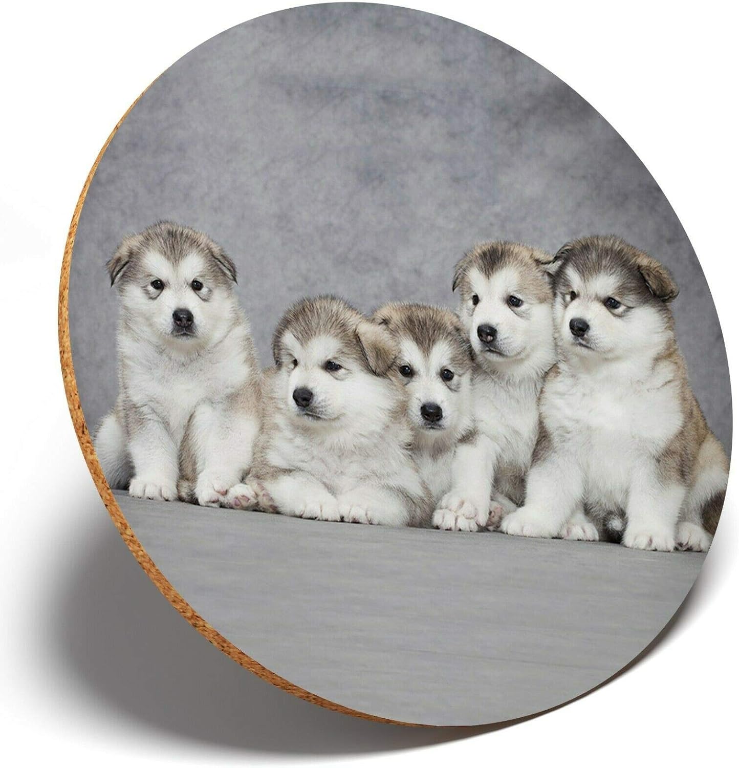 Amazon 1 アラスカンマラミュートの子犬 ラウンドコースターキッチン学生キッズギフト コースター オンライン通販