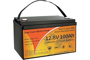 VEMDIA 12V 100Ah LiFePO4 Lithium Battery Group 31 with Built-in Smart 100A BMS, 15000+ Deep Cycles & 10-Year Lifespan Rechargeable for RV, Solar, Marine, Home Energy Storage with Low Temp Cut-Off