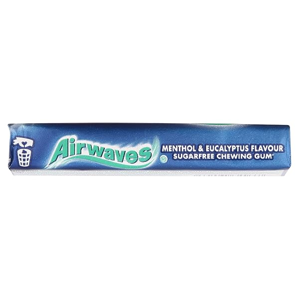 AIRWAVES MENTHOL & EUCALYPTUS SUGARFREE GUM 10 PELLETS – PACK OF 30