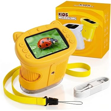 Jouets pour enfants, jouets d'extérieur, microscope numérique portable