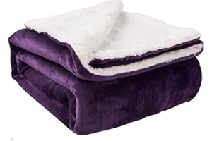 NANPIPER Sherpa Blanket Twin Thick Warm Blanket for Winter Bed Super Soft Fuzzy Flannel Fleece/Wool Like Reversible Velvet Plush Blanket (Purple Twin Size 60"x80")