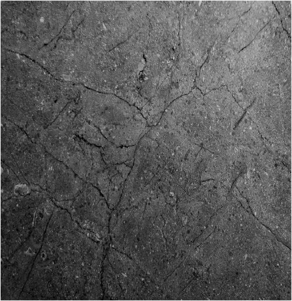 Best Kitchen Counter Top Granite Stone