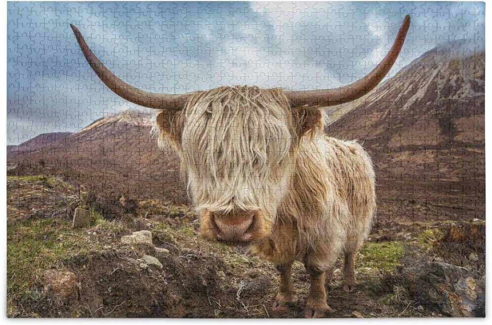 Highland Cattle Cow Jigsaw Puzzles for Adults Kids DIY Gift