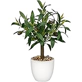 Artificial Olive Tree15'' Small Faux OliveTree Fake Olive Plants with White Pot for Home Bedroom Table Shelf Office Hotel Decor, Briful