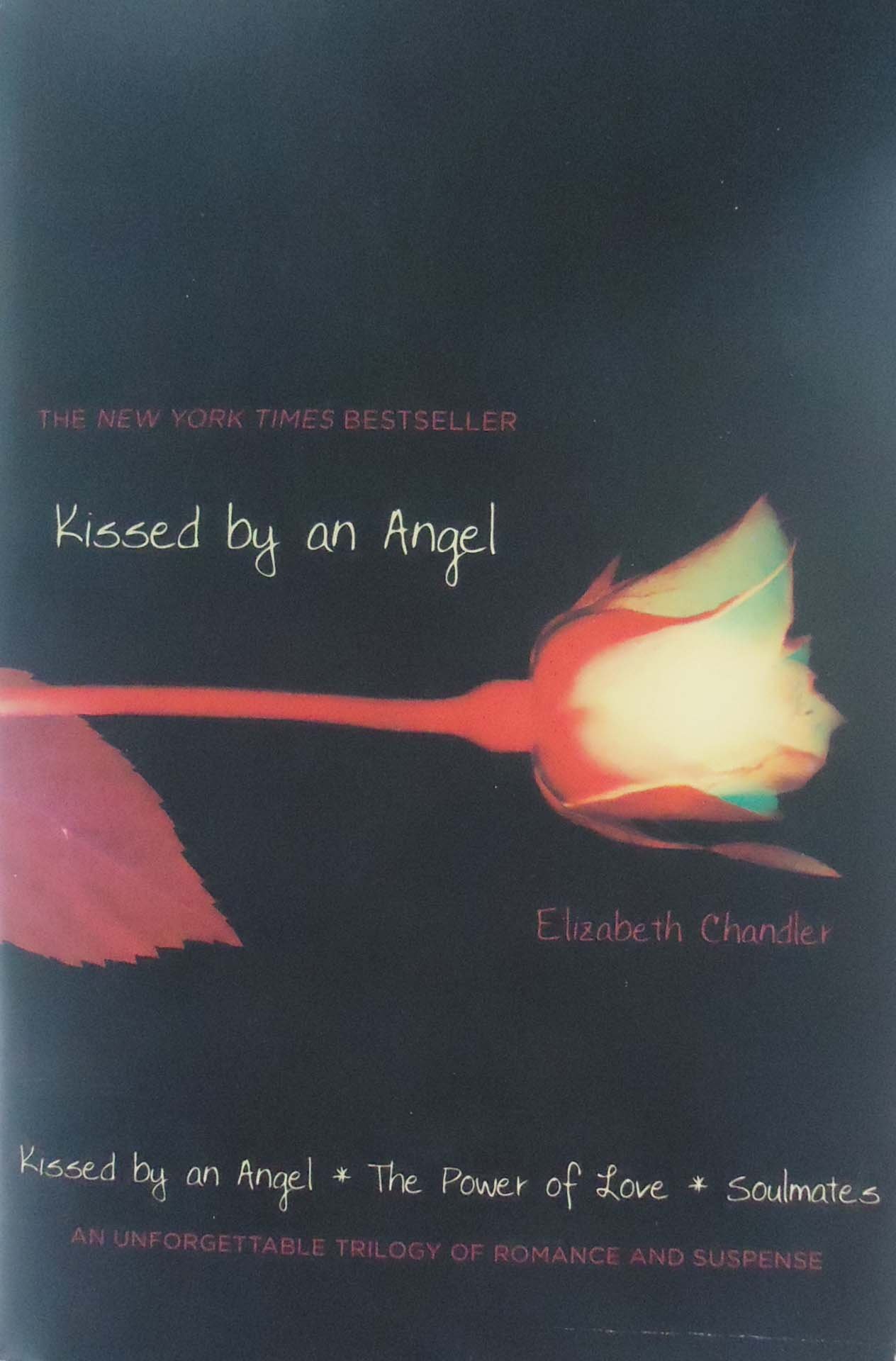 Get Elizabeth Chandler Books PNG