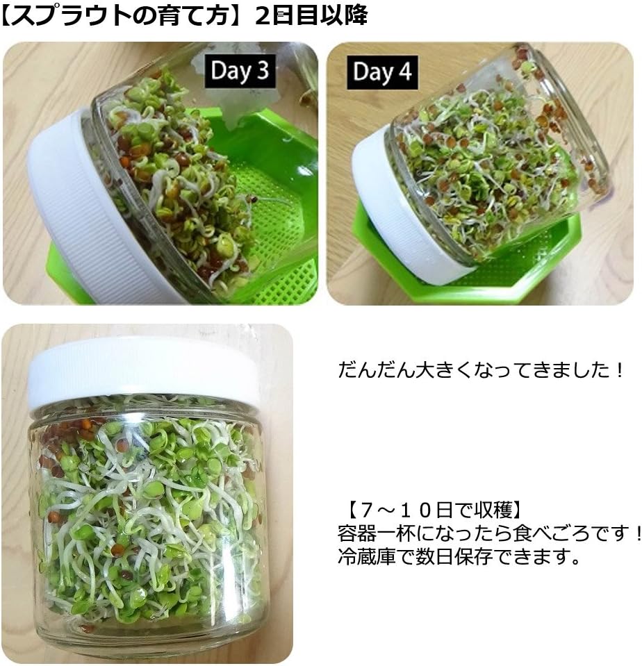 Amazon Co Jp グリーンフィールド 野菜有機種子 スプラウト栽培セット 私のスプラウト もやしタイプ ブロッコリー ラディッシュ 栽培セット B006 Diy 工具 ガーデン