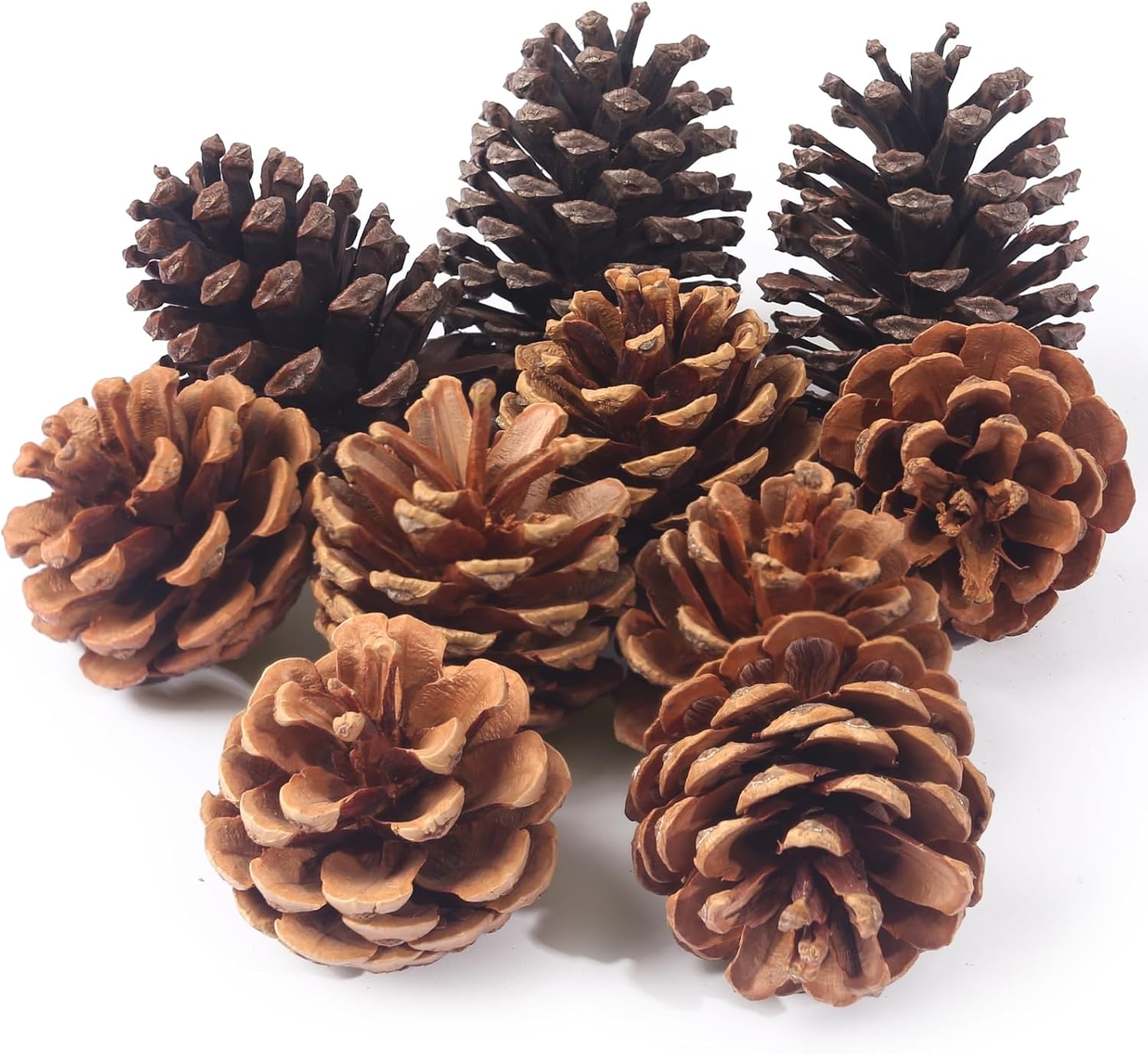 Vase Fillers - BigOtters 10PCS Large Pinecones for Decorating, Natural Pine Cones for Crafts Christmas Rustic Pinecones Ornaments for Xmas Trees Winter Holidays Table Bowl Fillers