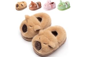 Drecage Toddler Kids Slippers Girls Boys House Shoes Winter Slippers Plush Warm Soft with Cute Cartoon Design Indoor Shoes
