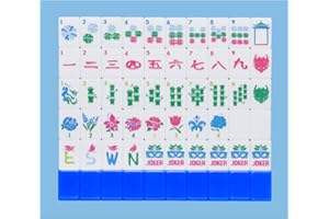 Jongyance American Mahjong Tile Set(Blue) with Carrying Bag and Accessories, 160 Acrylic Engraved Mahjong Tiles