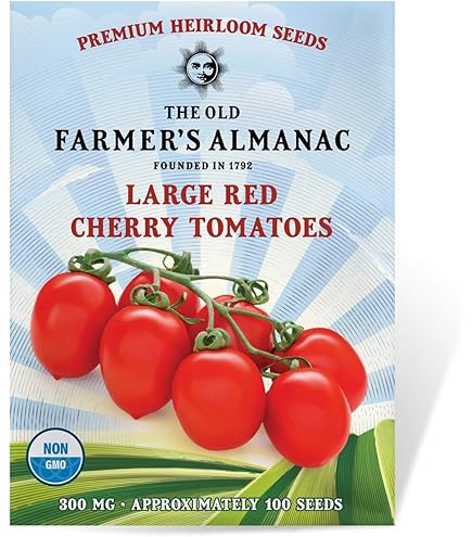 プチtomato *Prof ☑️**様 ララ ミニトマト種子 PRIMAX100粒 【トマト種】【サカタのタネ