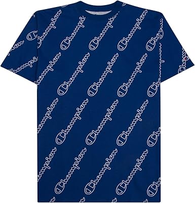 mens big and tall champion