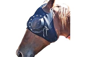 WANGZHAOKEJISM Horse Racing Goggles, Eye Cover with Detachable Half Cover for Sand Protection,blinkers for Horses,Horse Blinders,Fly Control,Mask blinder Attached (Black)