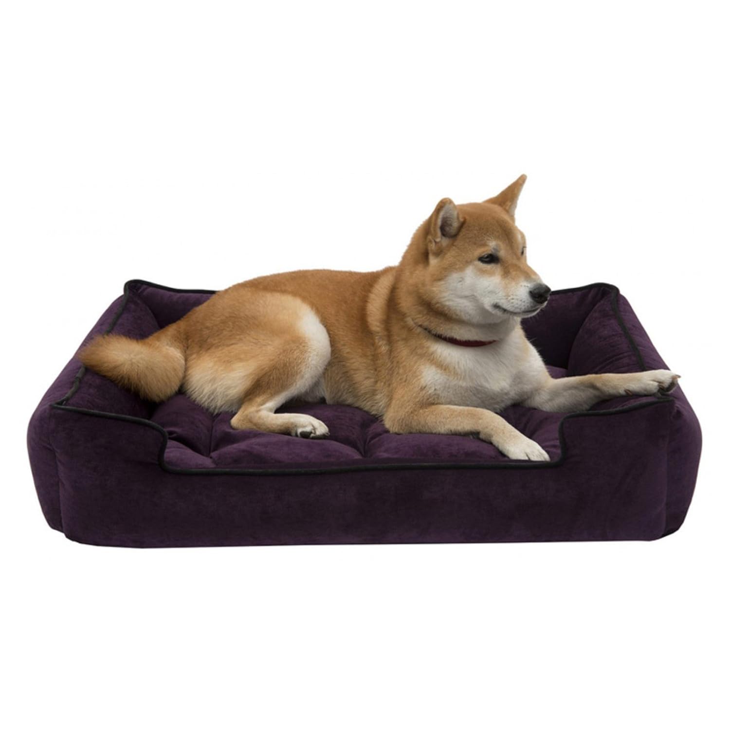 jax dog bed