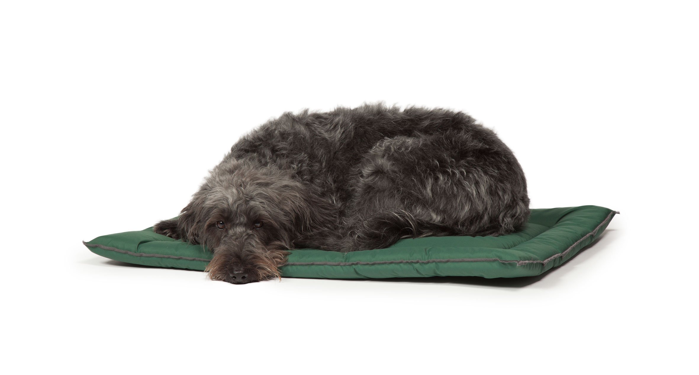 Danish Design County Green Hard Wearing Dual Waterproof Standard Dog/Puppy Cage Mattress 46 x 61 cm Small