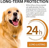 BODY JUICE OIL Quercetin for Dogs Bacon Flavor 60ml All Breeds Antihistamine view 5